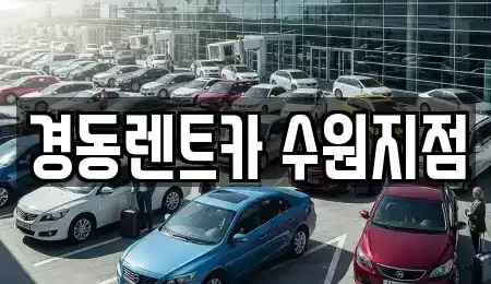 경기 수원시 장안구 장기렌트카 전문 경동렌트카 수원지점