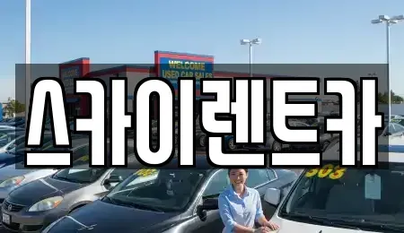 경기 수원시 장안구 장기렌트카 전문 스카이렌트카