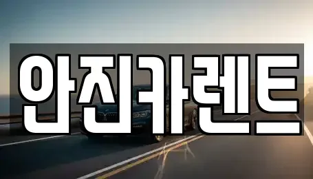경기 수원시 장안구 장기렌트카 전문 안진카렌트