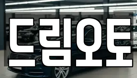 경기 수원시 장안구 중고차 전문 드림오토