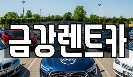 경기 수원시 팔달구 고등동 렌트카 전문 금강렌트카