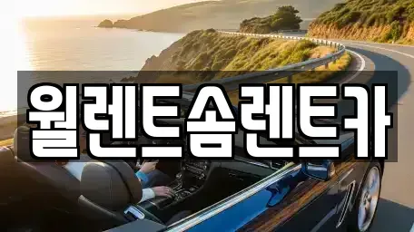 경기 수원시 팔달구 고등동 렌트카 전문 월렌트솜렌트카