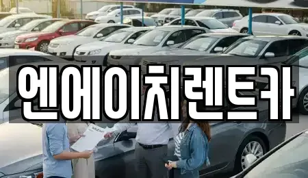 경기 시흥시 논곡동 렌트카 전문 엔에이치렌트카