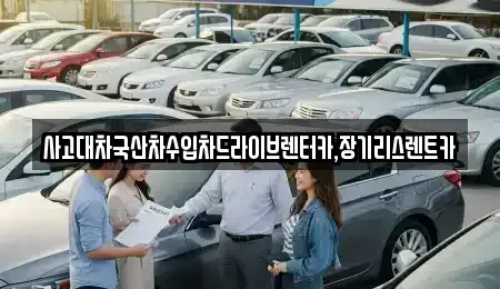 경기 시흥시 논곡동 장기렌트카 전문 사고대차국산차수입차드라이브렌터카,장기리스렌트카