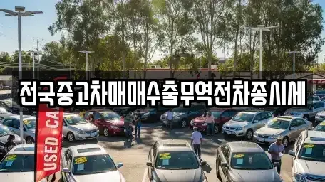 경기 시흥시 논곡동 중고차 전문 전국중고차매매수출무역전차종시세