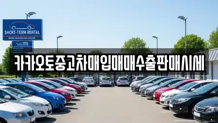 경기 시흥시 논곡동 중고차매입 전문 카카오토중고차매입매매수출판매시세