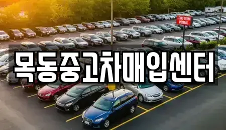 경기 시흥시 미산동 중고차매매 전문 목동중고차매입센터