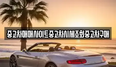 경기 시흥시 미산동 중고차매매 전문 중고차매매사이트중고차시세조회중고차구매