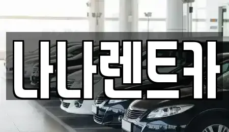 경기 시흥시 신천동 렌트카 전문 나나렌트카
