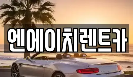 경기 시흥시 신천동 렌트카 전문 엔에이치렌트카