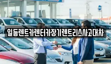 경기 시흥시 신천동 장기렌트카 전문 일등렌트카렌터카장기렌트리스사고대차