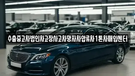 경기 시흥시 신천동 중고차 전문 수출중고차법인차고장사고차망자차압류차1톤차매입센터