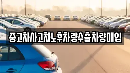 경기 시흥시 신천동 중고차 전문 중고차사고차노후차량수출차량매입