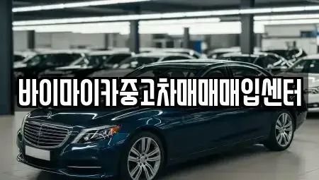경기 시흥시 신천동 중고차매매 전문 바이마이카중고차매매매입센터