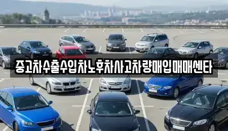 경기 시흥시 신천동 중고차매매 전문 중고차수출수입차노후차사고차량매입매매센타