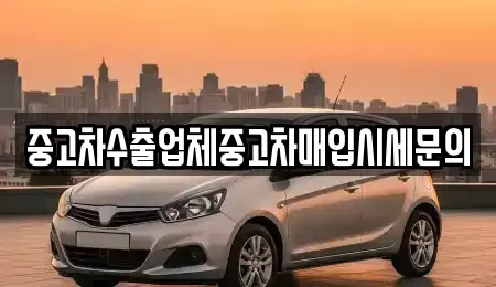 경기 시흥시 신천동 중고차매입 전문 중고차수출업체중고차매입시세문의