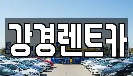 경기 안산시 단원구 초지동 렌트카 전문 강경렌트카