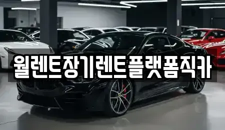 경기 안산시 단원구 초지동 장기렌트카 전문 월렌트장기렌트플랫폼직카