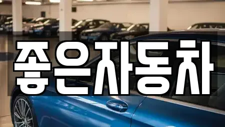 경기 안산시 단원구 초지동 중고차 전문 좋은자동차