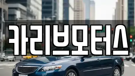 경기 안산시 단원구 초지동 중고차 전문 카리브모터스