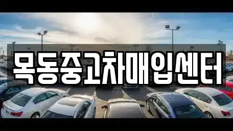경기 안산시 단원구 초지동 중고차매입 전문 목동중고차매입센터