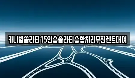 경기 안성시 발화동 렌트카 전문 카니발쏠라티15인승솔라티승합차리무진렌트대여
