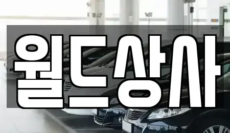 경기 안성시 발화동 중고차매매 전문 월드상사