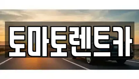 경기 안성시 봉남동 렌트카 전문 토마토렌트카
