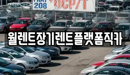 경기 안성시 봉남동 장기렌트카 전문 월렌트장기렌트플랫폼직카