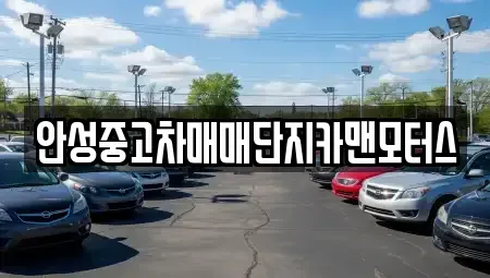 경기 안성시 봉남동 중고차 전문 안성중고차매매단지카맨모터스