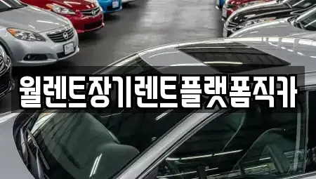 경기 안성시 석정동 장기렌트카 전문 월렌트장기렌트플랫폼직카
