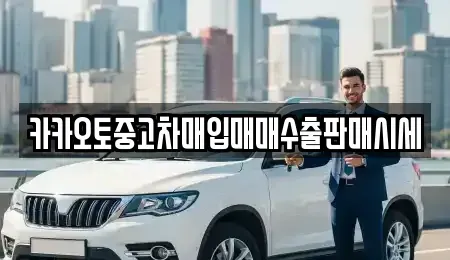 경기 안성시 석정동 중고차 전문 카카오토중고차매입매매수출판매시세