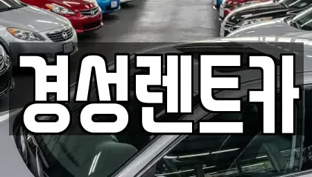 경기 양주시 고암동 렌트카 전문 경성렌트카