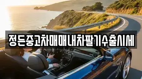 경기 양주시 고암동 중고차 전문 정든중고차매매내차팔기수출시세