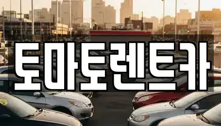 경기 양주시 만송동 렌트카 전문 토마토렌트카