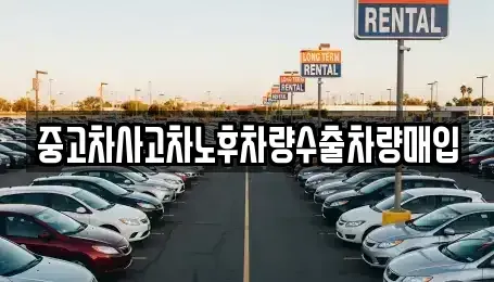 경기 양주시 만송동 중고차매입 전문 중고차사고차노후차량수출차량매입