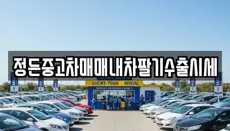 경기 여주시 단현동 중고차 전문 정든중고차매매내차팔기수출시세