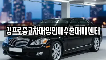경기 여주시 하동 중고차 전문 김프로중고차매입판매수출매매센터