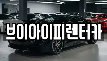 경기 오산시 금암동 렌트카 전문 브이아이피렌터카
