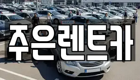 경기 오산시 금암동 렌트카 전문 주은렌트카