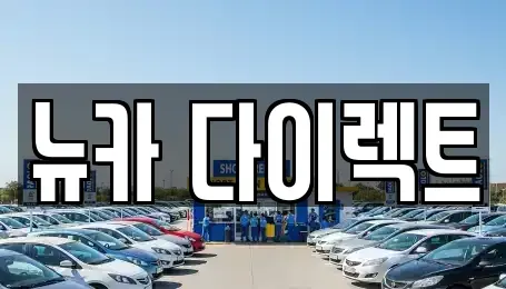 경기 오산시 금암동 장기렌트카 전문 뉴카 다이렉트