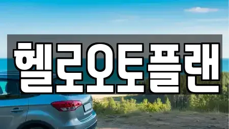 경기 오산시 금암동 장기렌트카 전문 헬로오토플랜