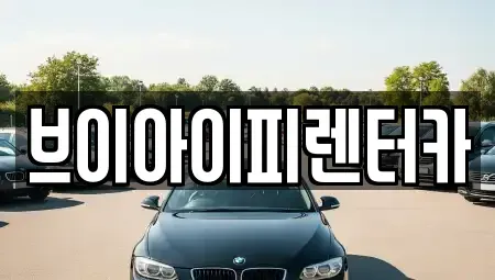 경기 오산시 부산동 렌트카 전문 브이아이피렌터카