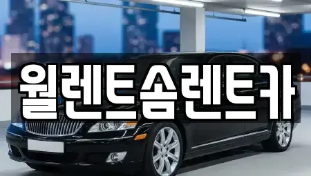 경기 오산시 부산동 렌트카 전문 월렌트솜렌트카