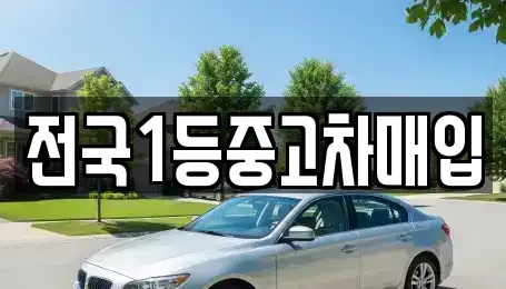 경기 오산시 부산동 중고차매입 전문 전국1등중고차매입
