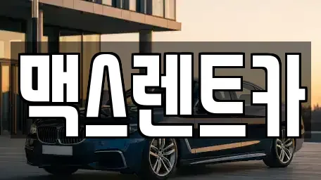 경기 용인시 기흥구 공세동 렌트카 전문 맥스렌트카