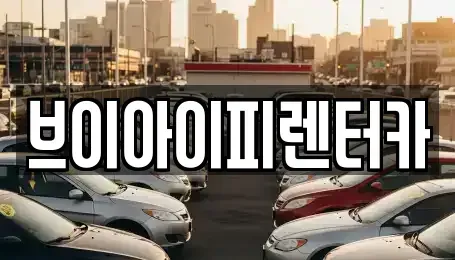 경기 용인시 기흥구 공세동 렌트카 전문 브이아이피렌터카