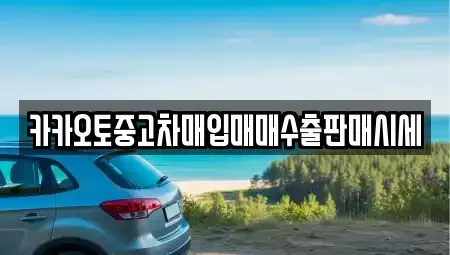 경기 용인시 기흥구 공세동 중고차 전문 카카오토중고차매입매매수출판매시세