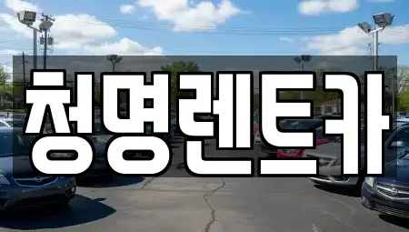 경기 용인시 기흥구 농서동 단기렌트카 전문 청명렌트카