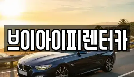 경기 용인시 기흥구 농서동 렌트카 전문 브이아이피렌터카